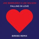 Joe Bermudez  &  Lee Wilson  - Falling In Love