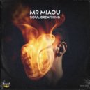 Mr Miaou - Soul Breathing
