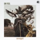 Dr Feel feat. Zhane - Wallow (Original Mix)