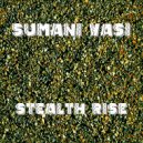Sumani Vasi - Stealth Rise (Original mix)