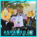Temporary Hero - Ashamed 22
