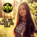 Djs Vibe - Traffic House Mix 2022