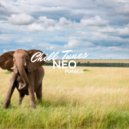 Pimber - Neo
