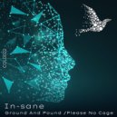In-sane - Please No Cage (Original Mix)