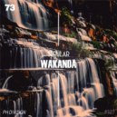 Serular - Wakanda (Original Mix)