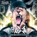 Brexa - Secret Of Life