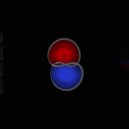 RHYME - OBAE (Anonymity Cosmos traffic signal retune)
