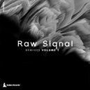 DJ Tipstar ft Laru - My Reflections (Raw Siqnal & Gmbos Re Touch Remix))