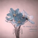 Afternova - The Beauty Of Life (Essential Mix)