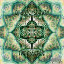 DJ BlockStation - The Essence of Forest Morphology (Original Mix)