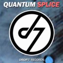 Quantum Splice - Gray Matter