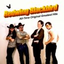 Redwing Blackbird - Home Team Sports