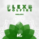 FlexB & Wolfire - Ohladu (Extended Mix)