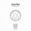 Cezar Nica - Standard Model (Original Mix)