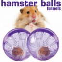 Hamster Balls - sunset from hill