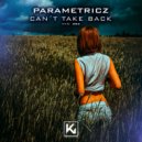 Parametricz - Can't take back