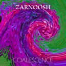 Zarnoosh - Coalescence