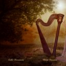 Cello Dreamers - Spirituality ()