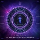 Black Marvin - In Sterquiliniis Invenitur (Extended Mix)