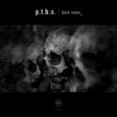 P.T.B.S. - In Your Body (AXKAN Remix)