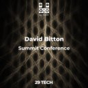 David Bitton - Roots