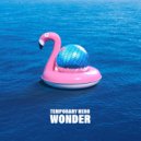 Temporary Hero - Wonder (Stripped Remix)