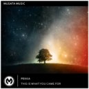 Pekka - This Is What You Came For (Radio Edit)