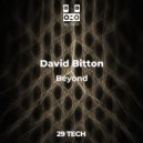 David Bitton - Roots