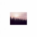 Mindfulness Healing Sleep BGM Project - Down & Rhythm