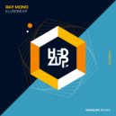 Ray Mono - Pain (Original Mix)