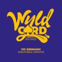 Vic Esenaihc - Insatiable Groove (Next Of Kin Remix)