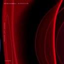 Davide Giannelli - Squalloffff (Original Mix)