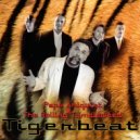 Pepe Ahlqvist & The Rolling Tumbleweed - 'Cause I Know