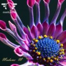 Madame M - Without Limit