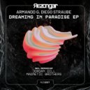 Armandd G, Diego Straube - You Gotta Go