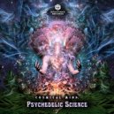 Cosmical Mind - Psychedelic Science (Original mix)