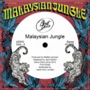 Rafael Cancian - Malaysian Jungle (70\'s Acid Mix)