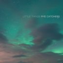 Rye Catchers - Interlude