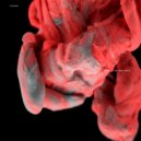 NDR - Outer Space