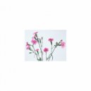 Mindfulness Healing Sleep BGM Project - Food and Coping skills (Sleep BGM)