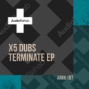 X5 Dubs - Experience (Original Mix)