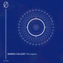 Bardia Salour - Shelter (Original Mix)