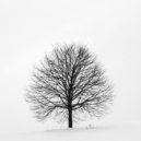 MosothoMusiQ - .Back From The Silence (Original Mix)