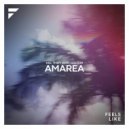 Kill Them With Colour - Amarea (Extended Mix)