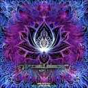 Nomad Aliens - Sofly (Original Mix)