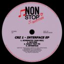 CRZ 1 - Interface