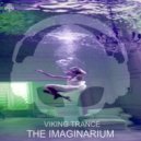 Viking Trance - The Imaginarium
