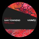 Sam Townend - I Can\'t Help Michelle (Original Mix)