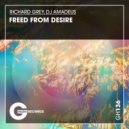 Richard Grey, DJ Amadeus - Freed From Desire (Original Mix)