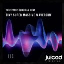Christophe Quinlivan-Hunt - Tiny Super Massive Waveform